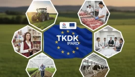 İpard hakkında detaylı bilgi.